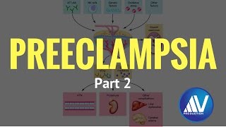 Preeclampsia Part II Pathophysiology [upl. by Latihs]