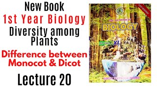 difference between monocot and dicot  Diversity among plants Cass 11 biology Sindh board new book [upl. by Galvin604]