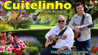 CUITELINHO  Cido Viola e Serginho  Cover Acústico cover [upl. by Sacksen320]