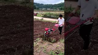 Small Tiller Tilling Process [upl. by Dianemarie]