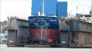 Edzard Cirksena IMO 9375824 im Trockendock  in Dry Dock [upl. by Ayr]