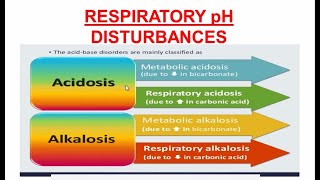 Respiratory Acidosis and Alkalosis  Respiratory pH Disturbances [upl. by Ahcrop176]