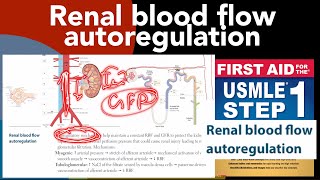 Renal blood flow autoregulation in HindiUrdu by first aid for USMLE step 1 [upl. by Yboc]