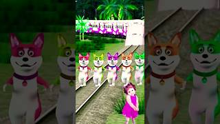 Cute dogs girl dance to stop arriving traintrendingviralvideo [upl. by Latihs]