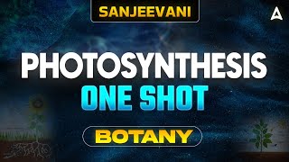 PHOTOSYNTHESIS CLASS 11 ONE SHOT  NEET 2024  ALL CONCEPT AND TRICKS  BOTANY BY SANKALP BHARAT [upl. by Zetroc]