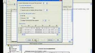 SPSS  Daten einlesen [upl. by Adniram]