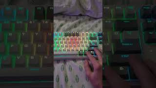 Tecware Phantom 87 Elite brown pre lubed switches with RGB and Bluetooth [upl. by Wilscam85]