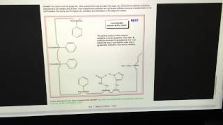 Basic function of the acetylcholinesterase enzyme [upl. by Atel]