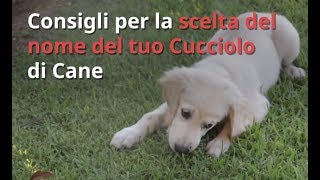 Nomi per Cani Consigli per scegliere il Nome del Tuo Cucciolo [upl. by Annawd]