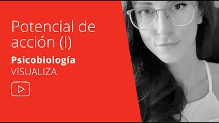 Qué es el POTENCIAL DE ACCIÓN y ley de TODO o NADA T6 PSICOBIOLOGÍA UNED [upl. by Roleat22]