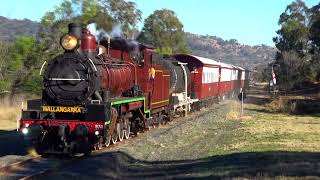 C17 974  SDSR Steam Train to Wallangarra  12082023 [upl. by Gatian400]