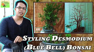 Styling Bluebell Bonsai Desmodium Sp  Kabudachi Style  Bonsai Tutorial for Beginners EP04 [upl. by Sinylg]