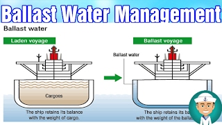 Ballast Water Management Methods [upl. by Cathryn947]