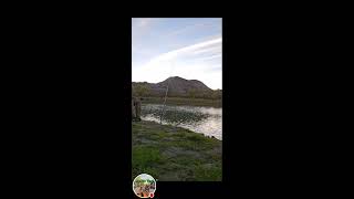 Fishing ● 08 Oct 2024  Alberta Canada 🇨🇦 subscribe Canada [upl. by Erret523]