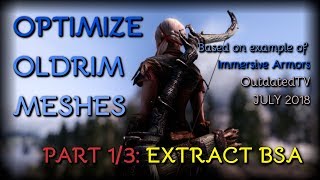 BSA Extracting NIF Optimizer and BSarch  Immersive Armors  PART 1 of 3 [upl. by Siubhan852]