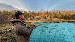 Alaska King Salmon Fishing Opener CATCH CLEAN COOK [upl. by Sibella]