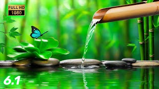 Relaxing Piano Music amp Water Sounds 247  Ideal for Stress Relief and Healing  Money Caller [upl. by Eibor]