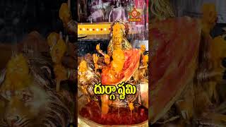 దుర్గాష్టమి శారదానవరాత్రులు durgadevi durga navratri sarda durgapuja amma eyes astami viral [upl. by Barri]