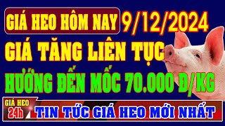 Giá heo hơi ngày 9122024  TĂNG GIÁ LIÊN TỤC HƯỚNG ĐẾN MỐC 70000 ĐỒNGKG [upl. by Anam555]