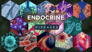 Endocrine Diseases Explained – Causes Symptoms amp Treatments [upl. by Galang]