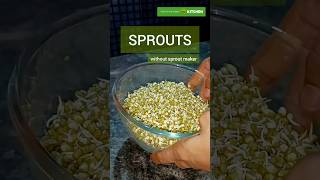 SPROUTS without Sprout Maker ଗଜା ମୁଗ କରିବାର ସଠିକ ପ୍ରଣାଳୀ  Moong ko Ankurit kaise Karen [upl. by Iorgo]