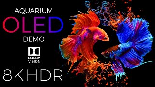 Aquarium OLED Demo HDR 8K Ultra HD Dolby Vision™ 60fps [upl. by Gristede]