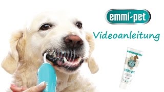 Emmipet Videoanleitung [upl. by Ahseyk]