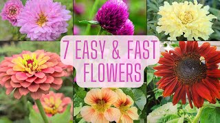 7 Easy amp Fast Flowers To Grow From Seed Beginner Friendly Annual Flowers [upl. by Nallaf]