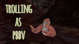 trolling as pbbv in gorilla tag [upl. by Annek]