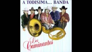 Los Caminantes A Todisima Banda CD Completo [upl. by Aprilette462]