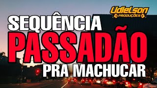 SEQUÃŠNCIA PASSADÃƒO PRA MACHUCAR  SÃ“ RECORDAÃ‡Ã•ES INESQUECÃVEIS  MARCANTE PARÃ [upl. by Enairda816]