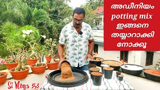 How to make a perfect potting mix for adenium  അഡീനിയം നടുമ്പോൾ potting mix ഇങ്ങനെ തയ്യാറാക്കൂ [upl. by Aihseit]