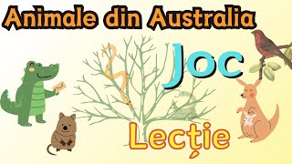 Animale din Australia Lecție și joc pentru copii [upl. by Klotz]