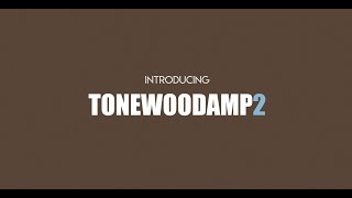 TONEWOODAMP2  PRE KICKSTARTER TEASER [upl. by Leoy]