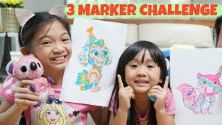 3 MARKER CHALLENGE [upl. by Nyliuqcaj]