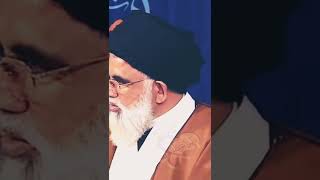 Shia Alam about Sahaba  Syed Jawad naqvi  Almawaiz [upl. by Anifled108]