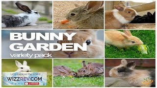 AllinOne Bunny Garden Variety Seed Pack Seeds Review [upl. by Fortna]