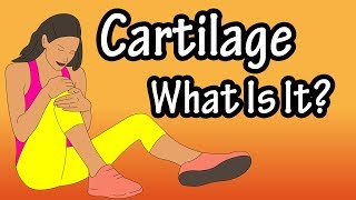 What Is Cartilage  Functions Of Cartilage  Types Of Cartilage  Structure Of Cartilage [upl. by Imogen]