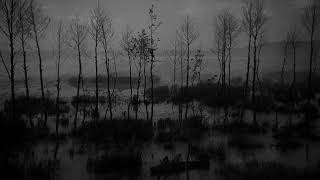 Ivans Childhood 1962 by Andrei Tarkovsky [upl. by Nosaj]