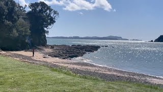 Taiji at Paihia [upl. by Kalbli]