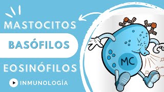 MASTOCITOS BASÓFILOS Y EOSINÓFILOS [upl. by Un]