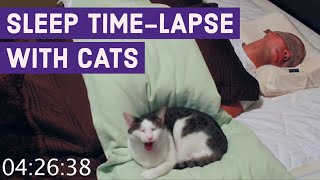 Sleep TimeLapse with Cats  6 Hours in 90 Seconds [upl. by Eek]