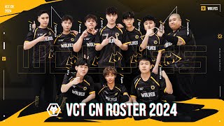 Wolves VCT CN Roster Announcement Valorant [upl. by Qerat]