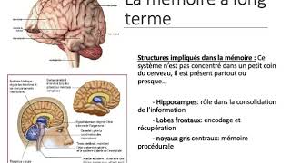 Cours 8 troubles cognitifs [upl. by Aggy]