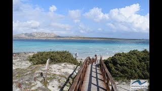 Windsurf Stintino  La Pelosa Sardinia 31102017 [upl. by Yehudi]