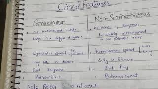 Testicular Carcinomas Part 3 Pathology  5th Lecture  Robbin [upl. by Jacobsen]