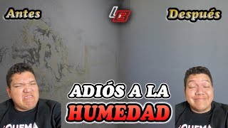 💧Cómo solucionar PROBLEMAS DE HUMEDAD en muros 🛑  Los Bestauradores [upl. by Natek]