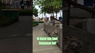 Spot Piknik Terbaik di Pantai Ancol [upl. by Airom23]