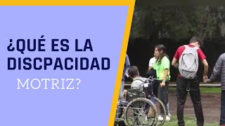 ¿Qué es la discapacidad motriz [upl. by Cissy]