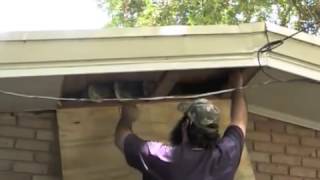 Harahan Bees Removed From Soffit  Mobile 1 2m4v [upl. by Celene]